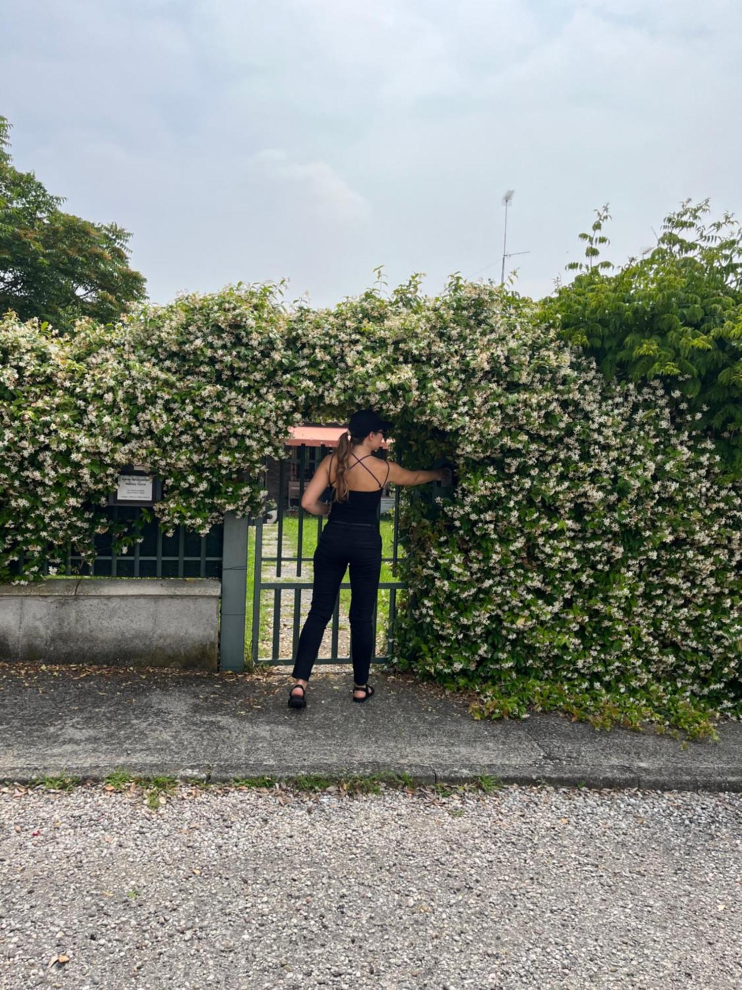 Garda Art&Garden Villa Volta Mantovana Exterior foto
